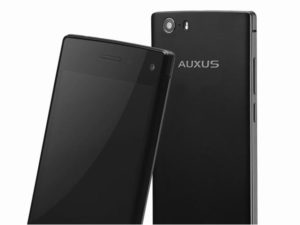 iBerry Auxus One