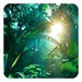 Jungle Live Wallpaper For PC (Windows & MAC)
