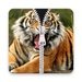 Tiger Zipper Lock Screen 2019 For PC (Windows & MAC)