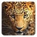 Wild animals Live Wallpaper For PC (Windows & MAC)