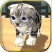 Animal Cat simulator For PC (Windows & MAC)