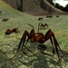 Ant Simulation For PC (Windows & MAC)