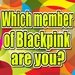Blackpink Quizz For PC (Windows & MAC)