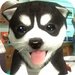 Dog Simulator Puppy Craft For PC (Windows & MAC)