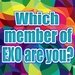 EXO Quizz For PC (Windows & MAC)