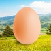 Egg For PC (Windows & MAC)