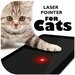 Laser Pointer for Cat For PC (Windows & MAC)