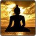 Nature Sounds Free Radio For PC (Windows & MAC)