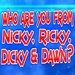 Nicky, Ricky, Dicky and Dawn For PC (Windows & MAC)
