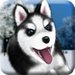Talking Husky For PC (Windows & MAC)