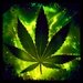 Weed Rasta Keyboard For PC (Windows & MAC)