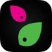 modnaKasta For PC (Windows & MAC)