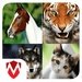 sonidos de animales For PC (Windows & MAC)