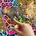 Cheetah live wallpaper For PC (Windows & MAC)