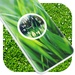 Grass Clock Live Wallpaper For PC (Windows & MAC)