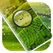 Green Hill Clock Live Wallpaper For PC (Windows & MAC)