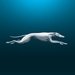 Greyhound For PC (Windows & MAC)