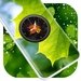 Leaf Clock Live Wallpaper For PC (Windows & MAC)