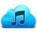 Music Paradise Pro MP3 For PC (Windows & MAC)