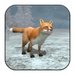Wild Fox Sim 3D For PC (Windows & MAC)