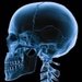 X-Ray Scanner For PC (Windows & MAC)