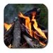 Fire LWP For PC (Windows & MAC)