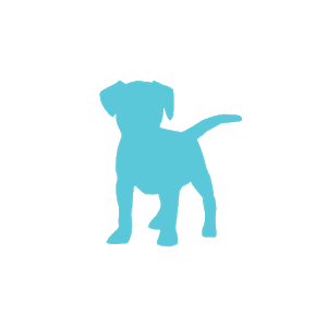 ruff 📄 — note ⤻ draft ⤻ edit ⤻ write ⤻ share For PC (Windows & MAC)