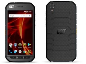 Cat S41