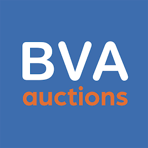 BVA Auctions Online veilingen