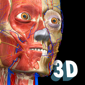 Anatomy Learning  3D Anatomy Atlas