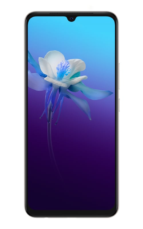 Vivo V20