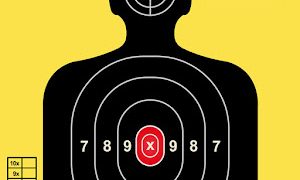 Gun Shooting Range  Target Shooting Simulator