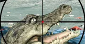 Crocodile Hunting Game