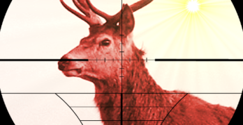 Deer Expert Shooter